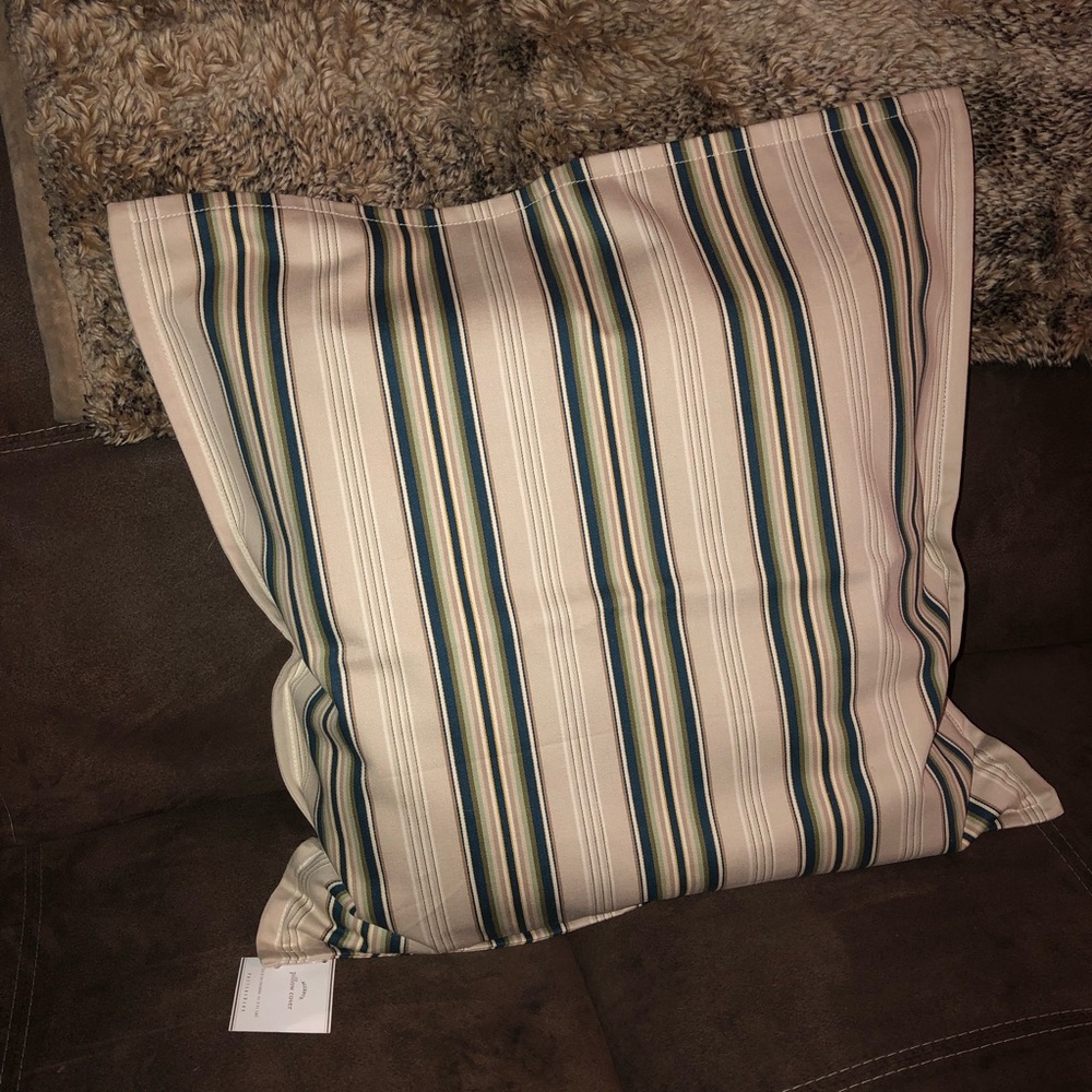 2 throw pillow covers